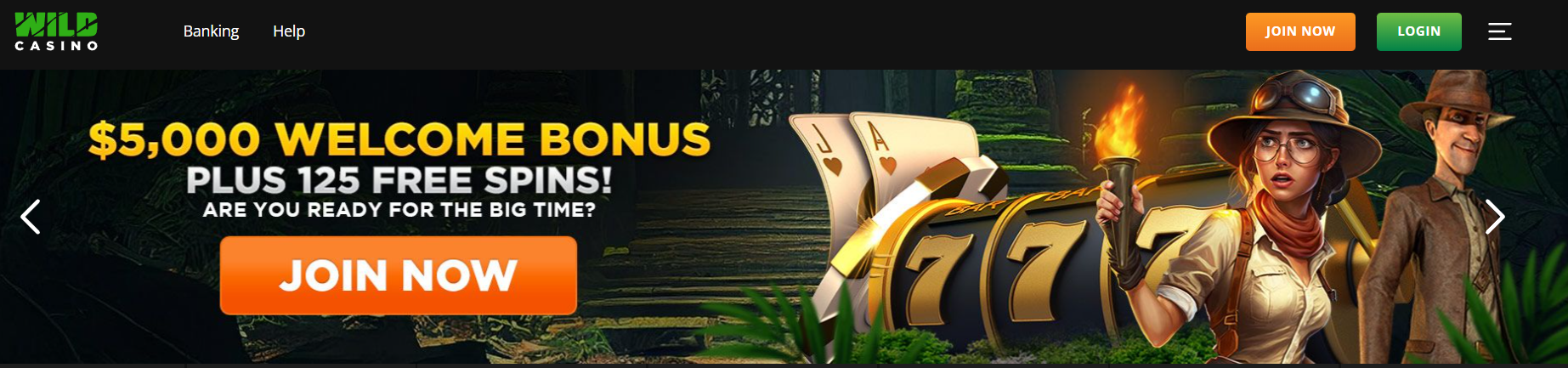 how to enter bonus code on wild casino